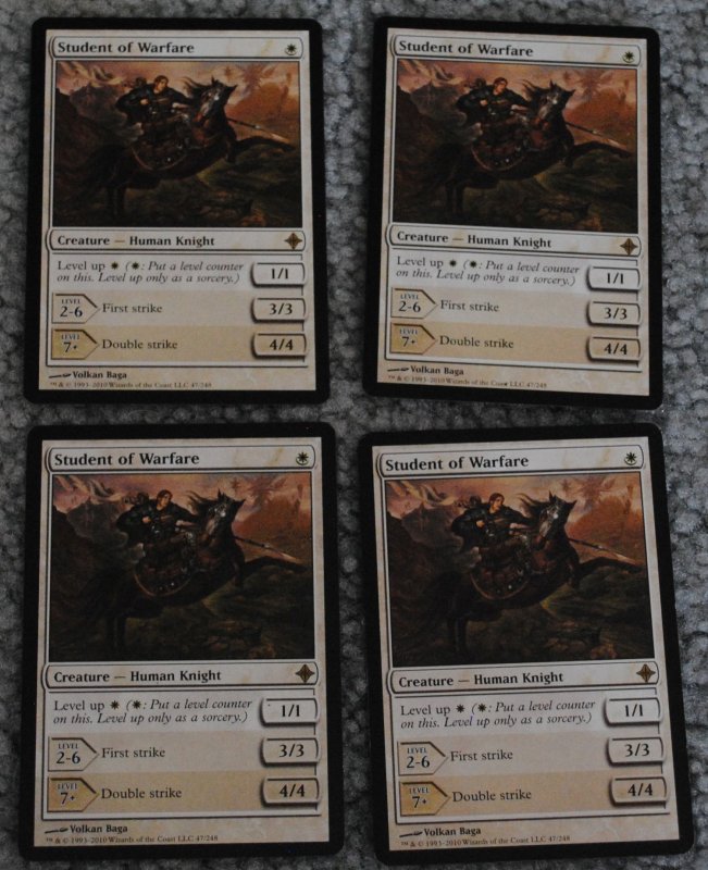 MTG 11_8_13_36.jpg