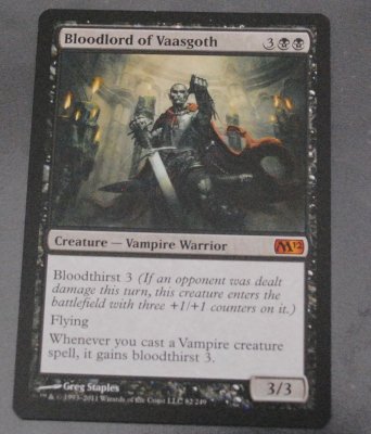 MTG 11_2_13_23.jpg