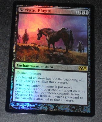 MTG 11_2_13_30.jpg