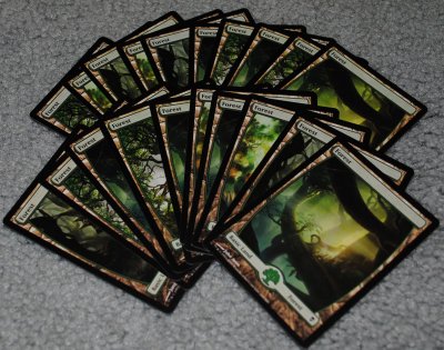 MTG 11_2_13_42.jpg