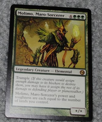 MTG 11_2_13_58.jpg