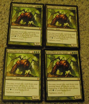 MTG 11_2_13_74.jpg