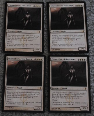 MTG 11_8_13_31.jpg