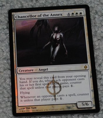 MTG 11_8_13_32.jpg