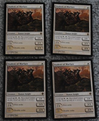 MTG 11_8_13_36.jpg