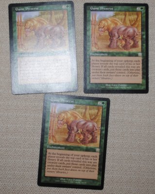 MTG_12_3_13_15.jpg