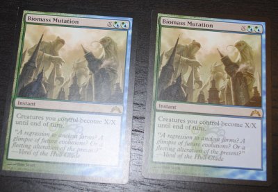 12_15_13_MTG_20.jpg