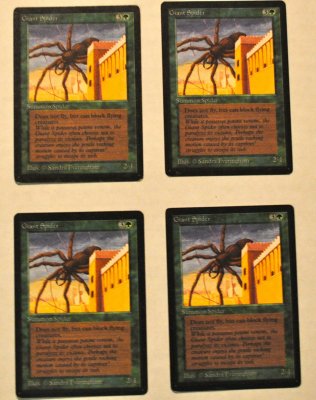MTG_6_21_26.jpg