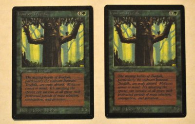 MTG_6_21_33.jpg
