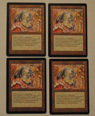 MTG_6_21_37.jpg