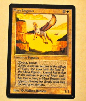MTG_6_21_39.jpg