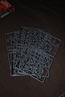 DSC_0363.jpg