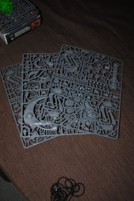 DSC_0364.jpg
