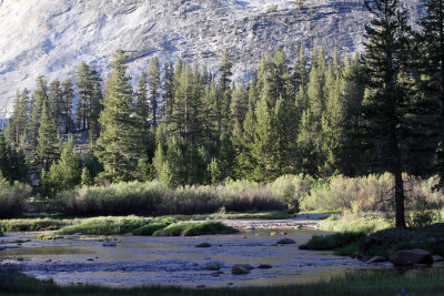 Yosemite toulume meadows.jpg