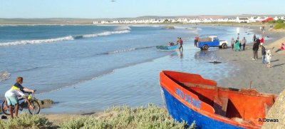 Paternoster West Coast 