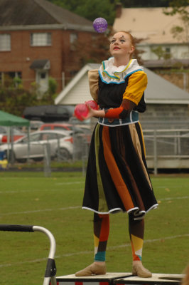 McChesney28.jpg