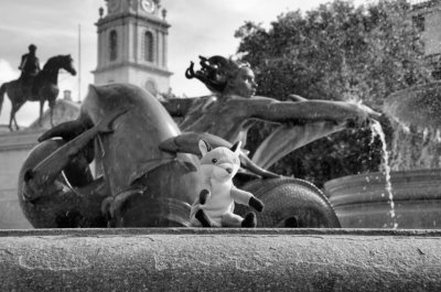 fox at fountain