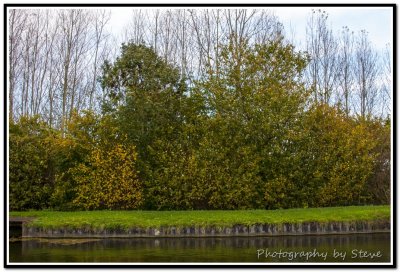 DSC_3381A.jpg