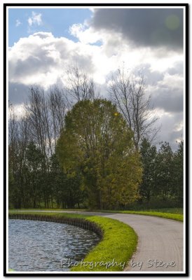 DSC_3382A.jpg