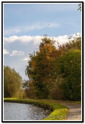 DSC_3385A.jpg