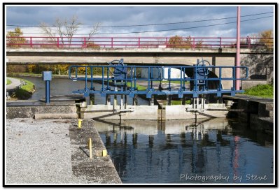 DSC_3390A.jpg
