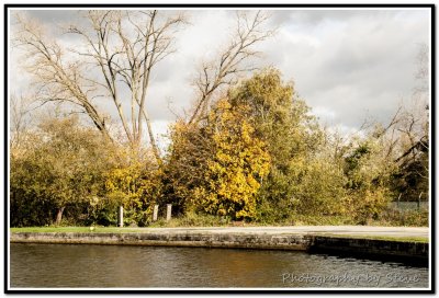 DSC_3393A.jpg