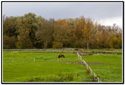 DSC_3400A.jpg