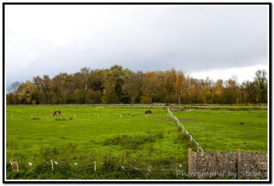 DSC_3401A.jpg