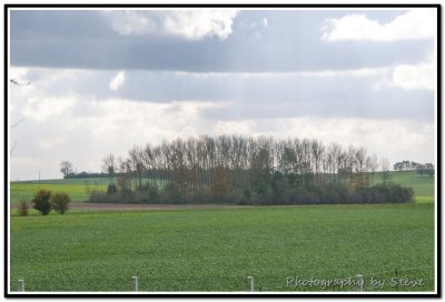 DSC_3403A.jpg
