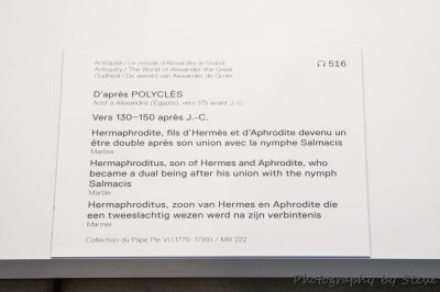DSC_3232A.jpg