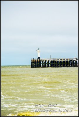 DSC_04920523A.jpg