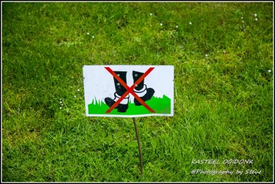 DSC_05410530A.jpg