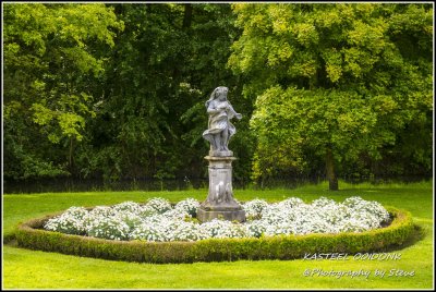 DSC_05450530A.jpg