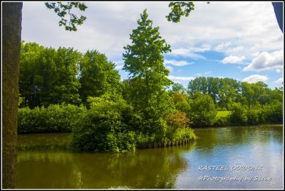 DSC_05530530A.jpg