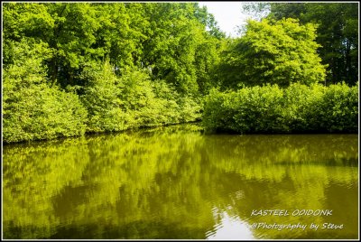 DSC_05550530A.jpg