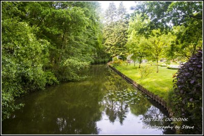DSC_05660530A.jpg