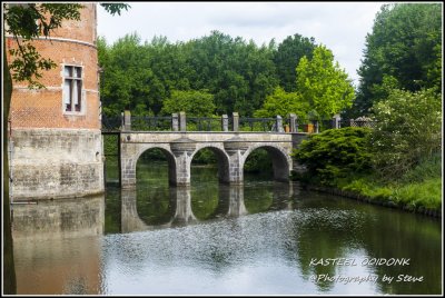 DSC_05700530A.jpg