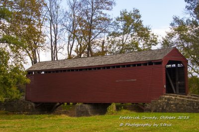 DSC_2595A.jpg