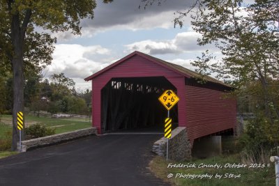 DSC_2607A.jpg