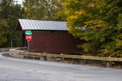 DSC_2640A.jpg