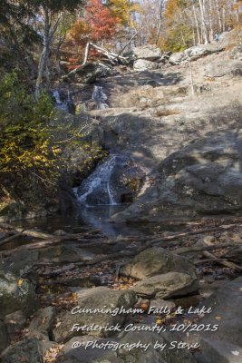 DSC_2705A.jpg