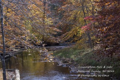 DSC_2768A.jpg