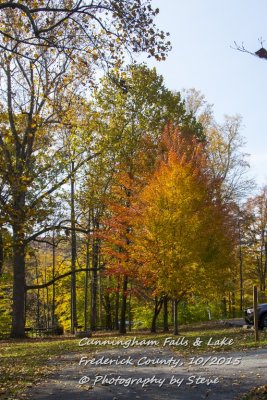 DSC_2685A.jpg
