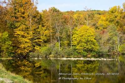 DSC_2677A.jpg