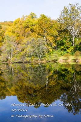 DSC_2684A.jpg