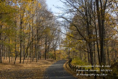 DSC_2737A.jpg