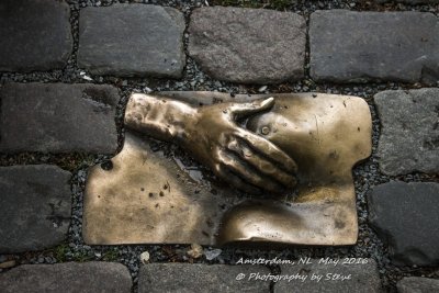 DSC_4765A.jpg