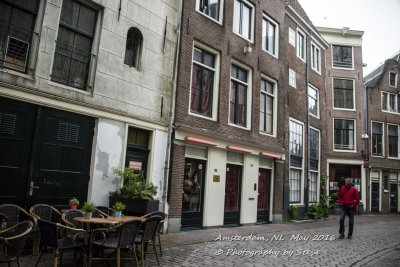 DSC_4770A.jpg