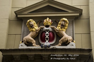 DSC_4805A.jpg