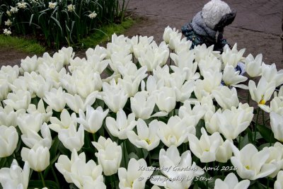 DSC_4059A.jpg